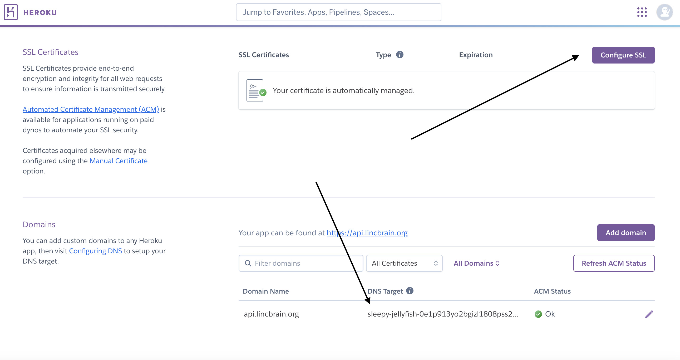 heroku_domain_config